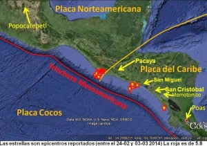 fallacocos